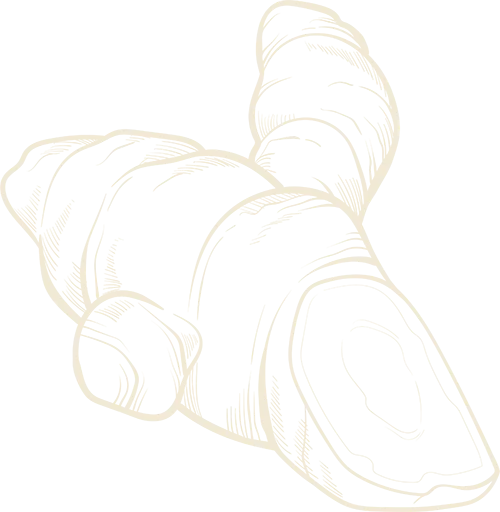 turmeric hand drawn